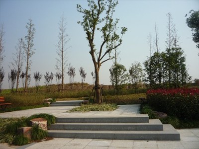 上塘河綜合保護與開發(fā)工程(繞城公路-天都城)景觀綠化工程02標