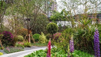 游學報名丨蘇州精品地產(chǎn)項目深度考察 7月27 28日