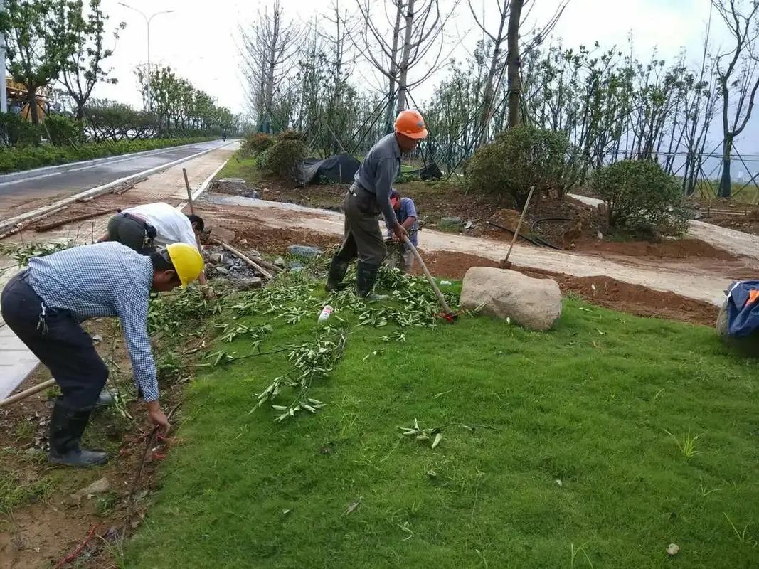 景觀綠化工程.景觀綠化工程別墅庭院造景,以自然為畫布,打造獨(dú)