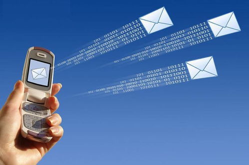 語(yǔ)音驗(yàn)證碼在金融信息服務(wù)領(lǐng)域的多元化應(yīng)用場(chǎng)景